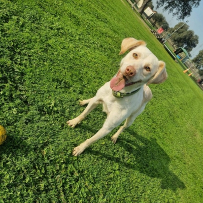 PHOTO-2025-10-12-15-33-45 7