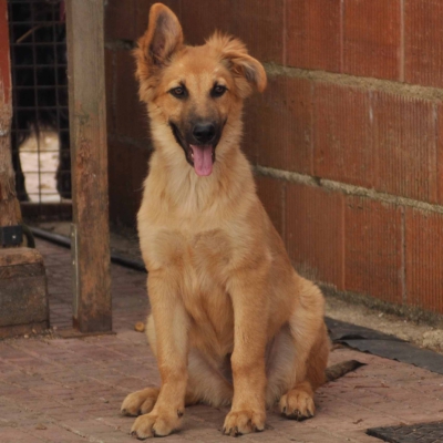 PHOTO-2025-10-15-19-34-27 2