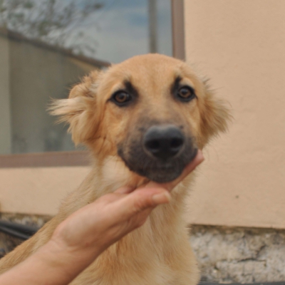 PHOTO-2025-10-15-19-34-27 3