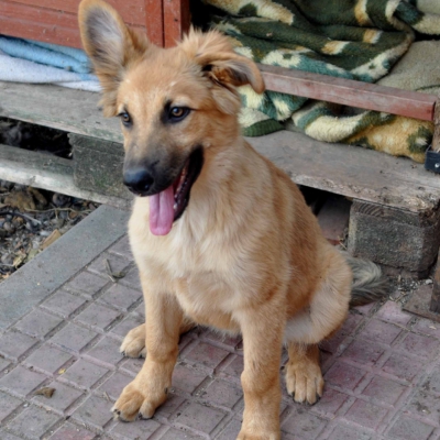 PHOTO-2025-10-15-19-34-27 4