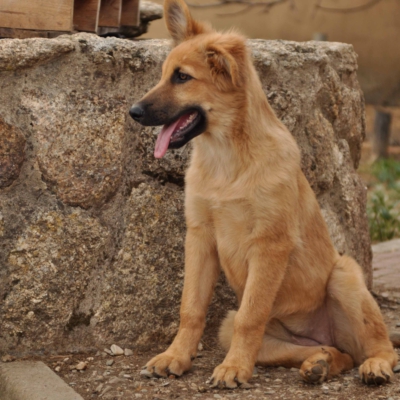 PHOTO-2025-10-15-19-34-27