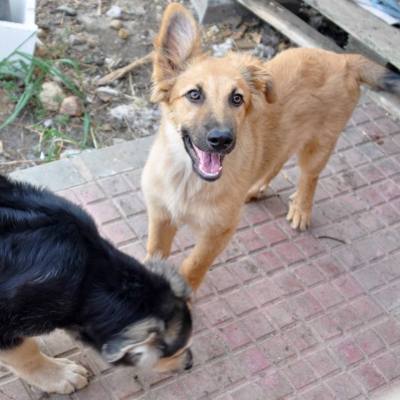 PHOTO-2025-10-15-19-34-27 5