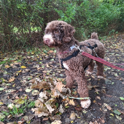 PHOTO-2025-10-24-20-44-57