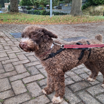 PHOTO-2025-10-24-20-45-11