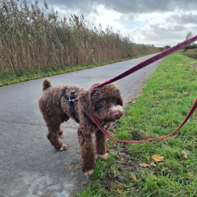 PHOTO-2025-10-24-20-45-35 2