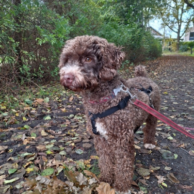 PHOTO-2025-10-24-20-45-35 4