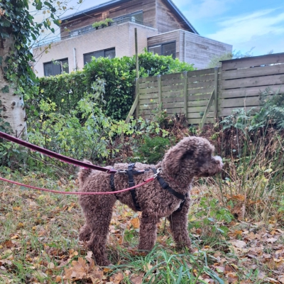 PHOTO-2025-10-24-20-45-35