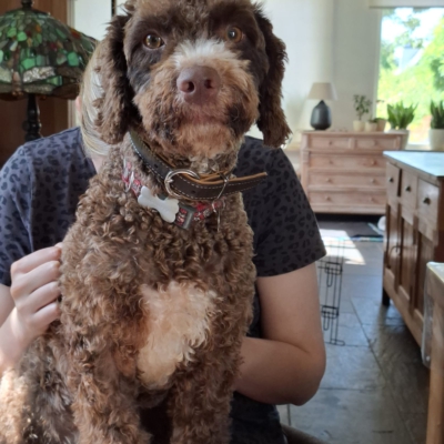 PHOTO-2025-10-24-20-51-50