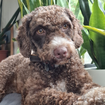 PHOTO-2025-10-24-20-52-18