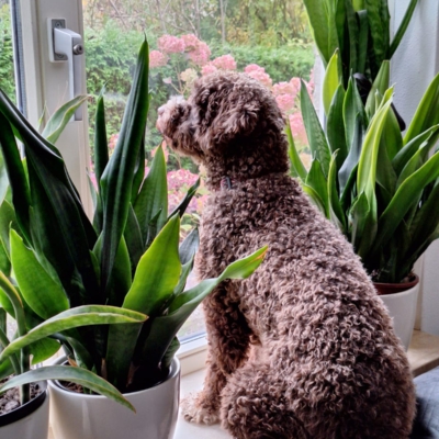 PHOTO-2025-10-25-09-49-42