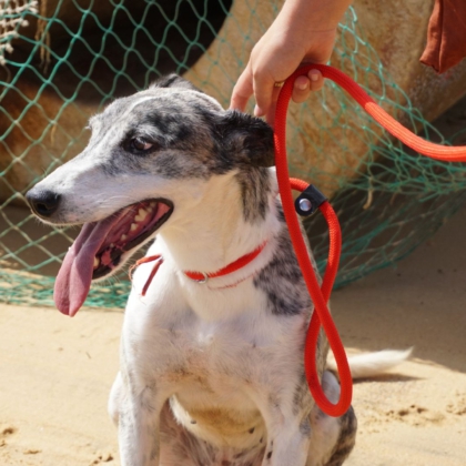 PHOTO-2025-10-27-09-48-16