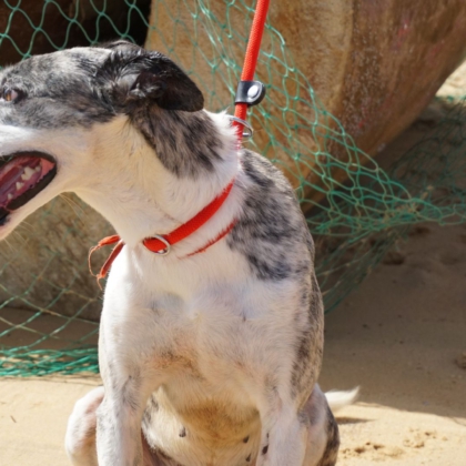 PHOTO-2025-10-27-09-48-17 2