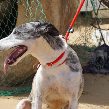 PHOTO-2025-10-27-09-48-17 3