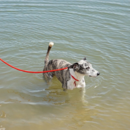 PHOTO-2025-10-27-09-48-17 4