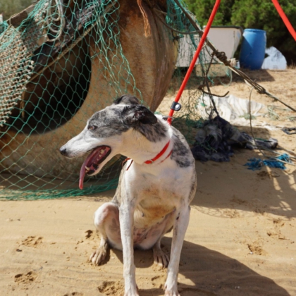 PHOTO-2025-10-27-09-48-17