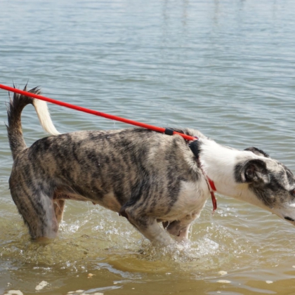 PHOTO-2025-10-27-09-48-17 5