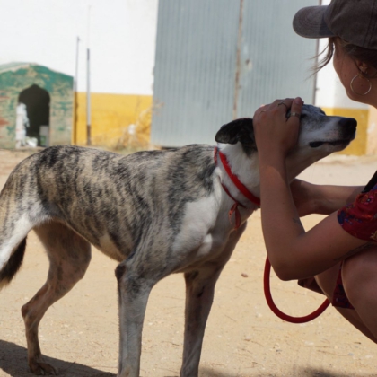 PHOTO-2025-10-27-09-48-18 5