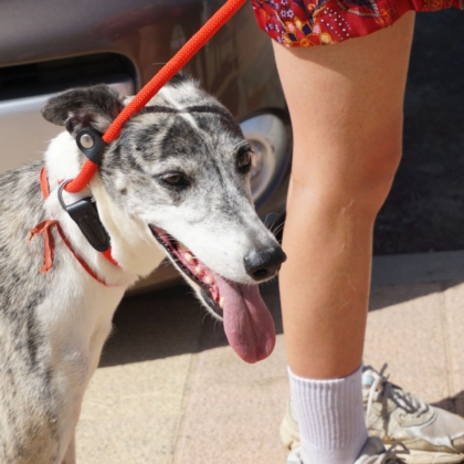 PHOTO-2025-10-27-09-48-18 6