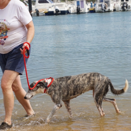 PHOTO-2025-10-27-09-48-18 7