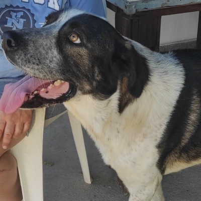 544969123_24564392233248782_8057194161686666844_n