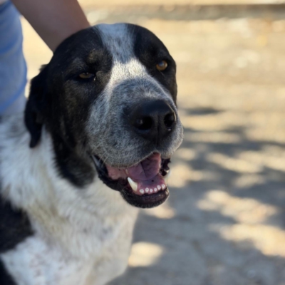 PHOTO-2025-11-01-07-12-37 3