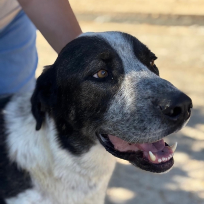 PHOTO-2025-11-01-07-12-37 4