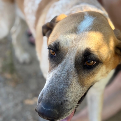 PHOTO-2025-11-01-07-12-37