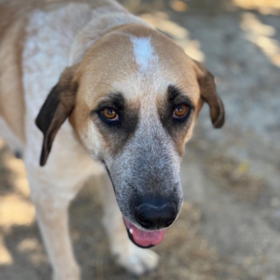 PHOTO-2025-11-01-07-12-37 5