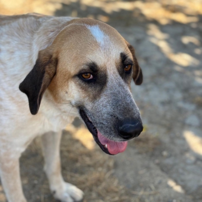 PHOTO-2025-11-01-07-12-37 6