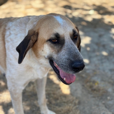 PHOTO-2025-11-01-07-12-37 7