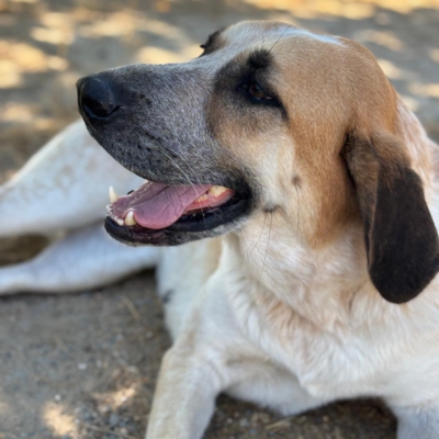 PHOTO-2025-11-01-07-12-37 8