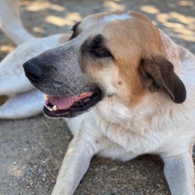 PHOTO-2025-11-01-07-12-37 9