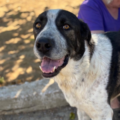 PHOTO-2025-11-01-07-12-38 2