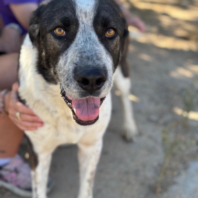 PHOTO-2025-11-01-07-12-38 3