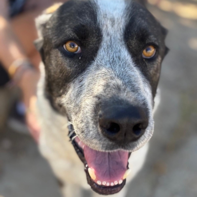 PHOTO-2025-11-01-07-12-38 4