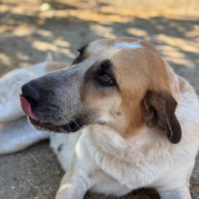 PHOTO-2025-11-01-07-12-38