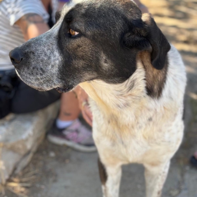 PHOTO-2025-11-01-07-12-38 5