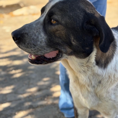 PHOTO-2025-11-01-07-12-38 7