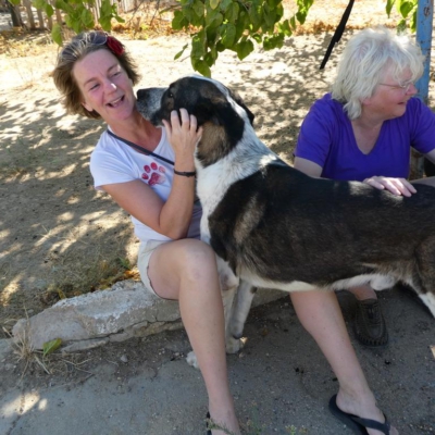 PHOTO-2025-11-01-07-12-47 3