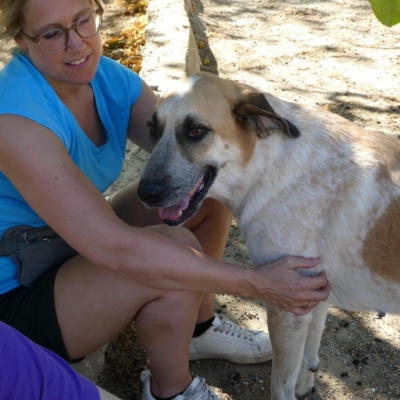 PHOTO-2025-11-01-07-12-47 4