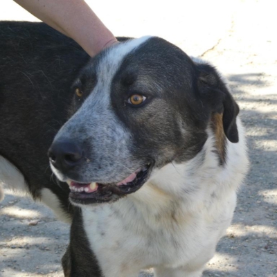 PHOTO-2025-11-01-07-12-48