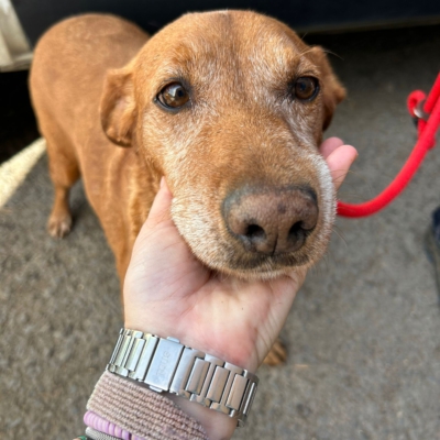 PHOTO-2025-11-01-15-14-14