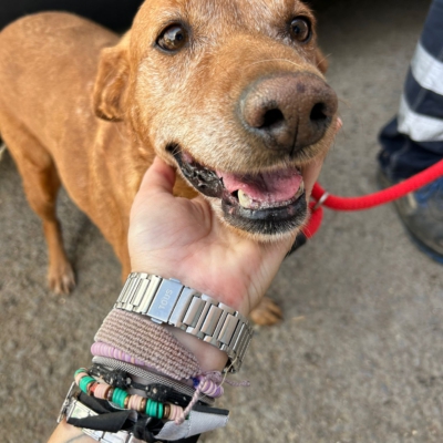 PHOTO-2025-11-01-15-17-37