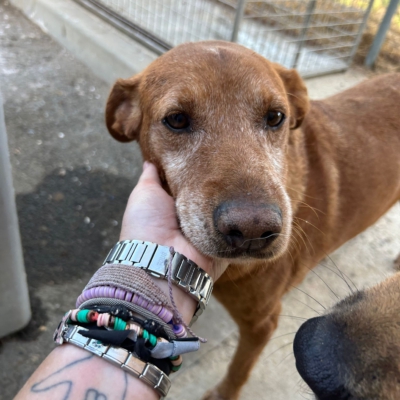 PHOTO-2025-11-01-15-32-23