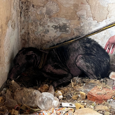 PHOTO-2025-11-07-13-58-38 2