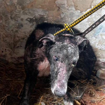 PHOTO-2025-11-07-13-58-38 3