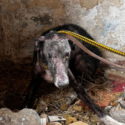 PHOTO-2025-11-07-13-58-38