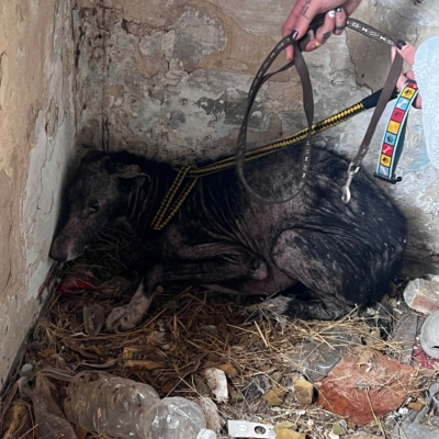 PHOTO-2025-11-07-13-58-39