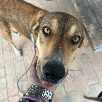 PHOTO-2025-11-12-15-42-01 2