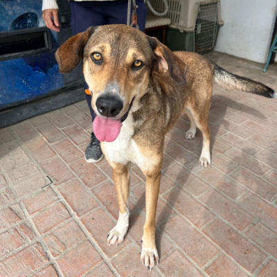 PHOTO-2025-11-12-15-42-01